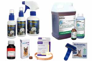 Productos para eliminar garrapatas en perros y en casa